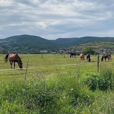 招待所 Banvoelgye Vendeghaz Es